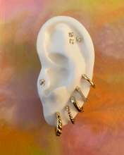 Load image into Gallery viewer, Baby Dahlia Earrings