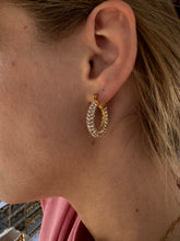 Load image into Gallery viewer, Large Frankie Hoops  | Stainless Steel Gold Plated
