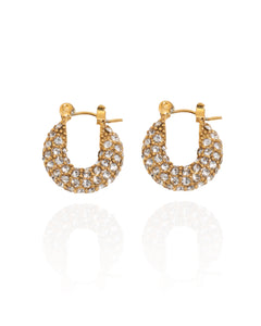 Frankie Hoops