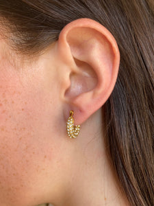 Frankie Hoops